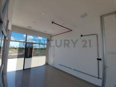 Hipódromo, Asunción 00001, Le Paraguay