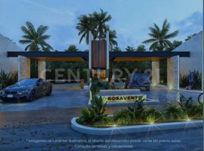 Rosavento cancun 4102,, Cancún/Benito Juárez, Quintana Roo 77500, México