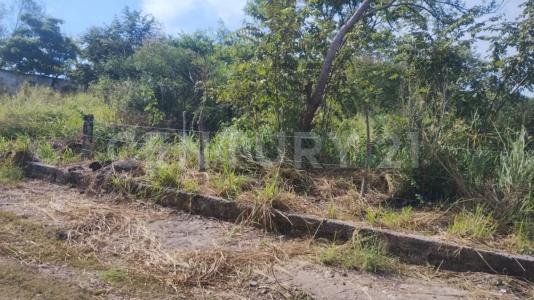 Morelos S/N,, Pueblo Viejo, Veracruz 92037, Mexico