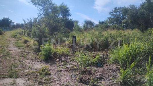 Morelos S/N,, Pueblo Viejo, Veracruz 92037, Mexico