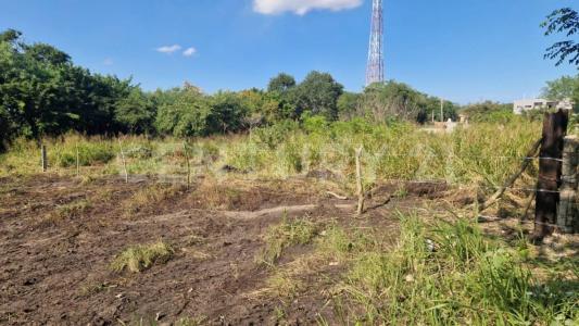 Morelos S/N,, Pueblo Viejo, Veracruz 92037, Mexico