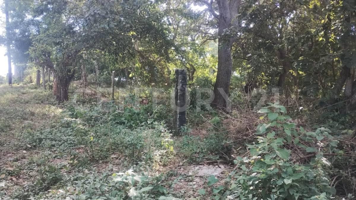 Yucatan S/N,, Pueblo Viejo, Veracruz 92037, Mexico