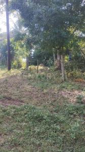 Yucatan S/N,, Pueblo Viejo, Veracruz 92037, Mexico