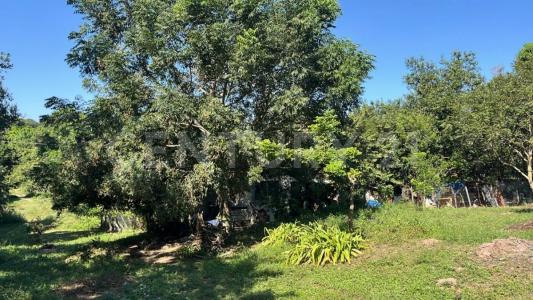 Yucatan S/N,, Pueblo Viejo, Veracruz 92037, Mexico