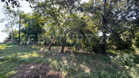 Yucatan S/N,, Pueblo Viejo, Veracruz 92037, Mexico