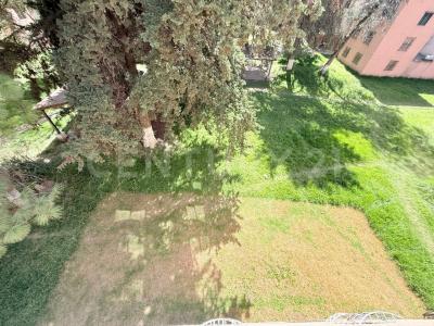 JOSE MARIA MORELOS Y PAVON ,, Toluca, Estado De Mexico 50016, Mexico