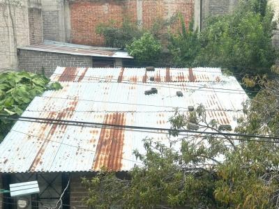 Nardos Mza 12 Lte 20,, Xochimilco, Ciudad De México 16450, 墨西哥