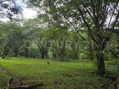 Camino a Rancho viejo 2,, Tlalnelhuayocan, Veracruz 91230, Mexico