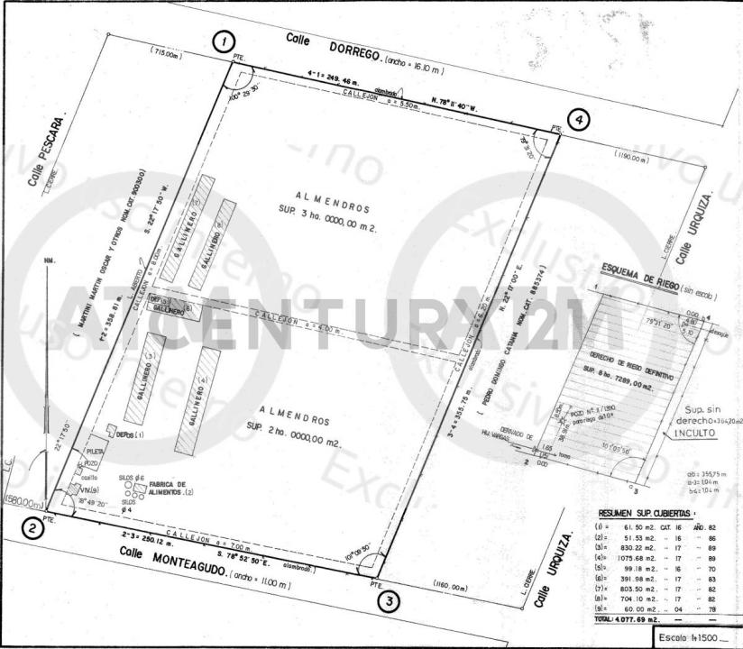 Maipú, Mendoza 5513, Argentina