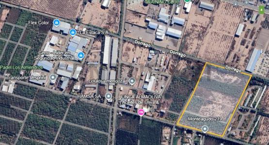 Maipú, Mendoza 5513, Argentina