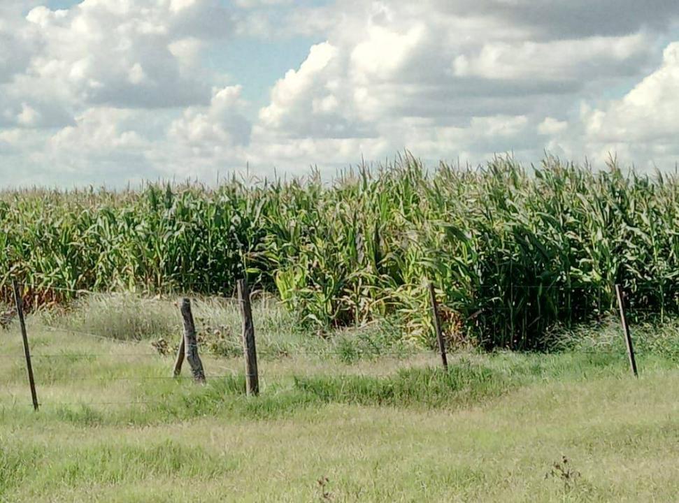 Laboulaye, Cordoba 00001, Argentina