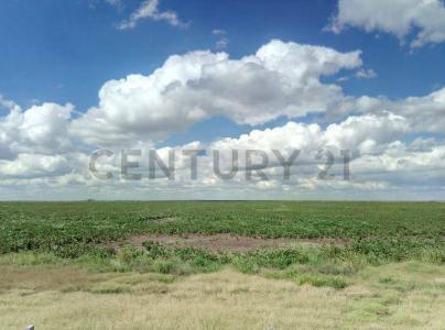 Laboulaye, Cordoba 00001, Argentina