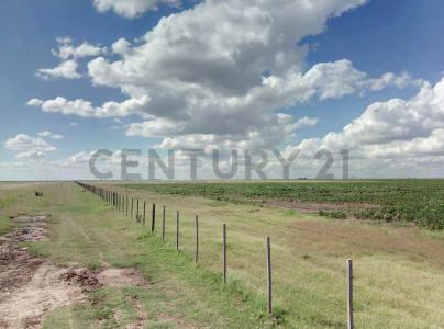 Laboulaye, Cordoba 00001, Argentina