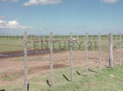 Laboulaye, Cordoba 00001, Argentina