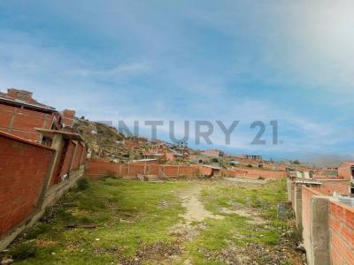 calle san martin SN, Irpavi, La Paz 00000, Bolivia