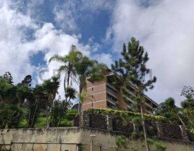 ORIPOTO ORIPOTO, RES SOLAR DEL SAMAN, Caracas, Miranda 00001, Venezuela