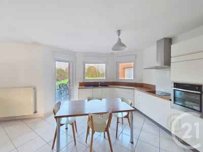 Faumont, Nord-Pas-de-Calais 59310, Frankreich