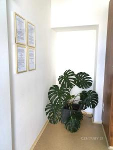 Nádražní, Šternberk, Olomouc 78501, الجمهورية التشيكية