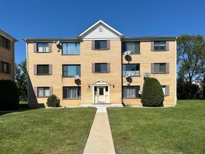 9320 Hamilton Court #E, Des Plaines, Illinois 60016, Stati Uniti