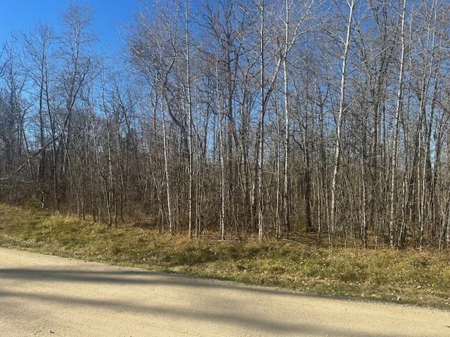 Crest Ct NW, Bemidji, Minnesota 56601, Estados Unidos