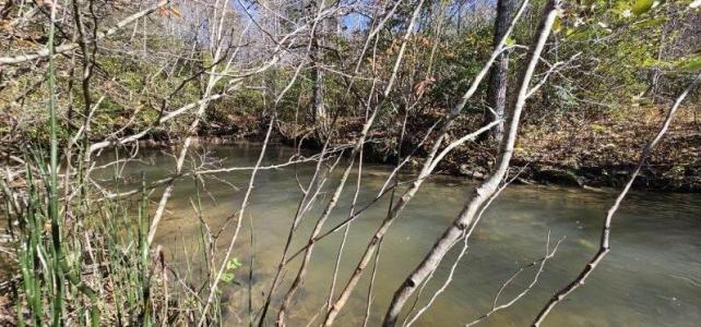 0 Woods Rd , Dunlap, Tennessee 37327, Estados Unidos