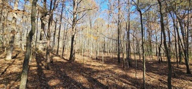 0 Woods Rd , Dunlap, Tennessee 37327, Estados Unidos