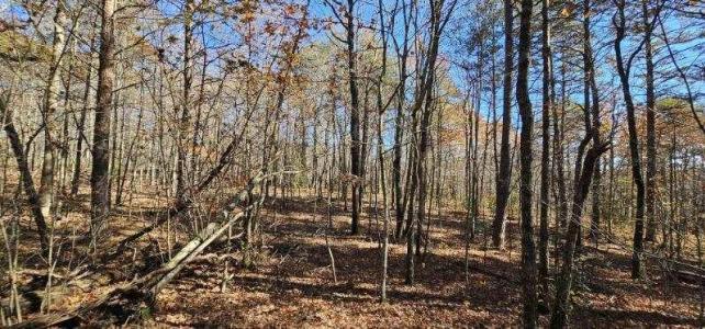 0 Woods Rd , Dunlap, Tennessee 37327, Estados Unidos