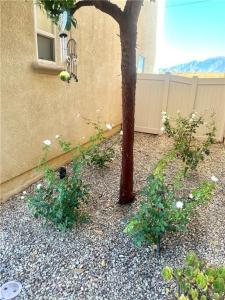 1332 E Rover Lane Unit#E, Beaumont, Kalifornia 92223, USA