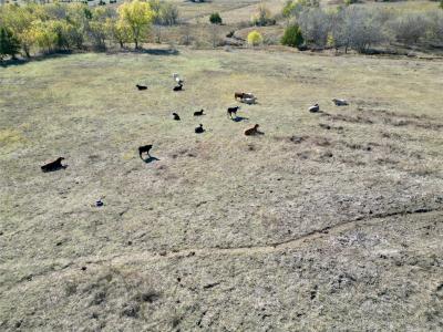 ooo County Road 22500, Paris, Teksas 75462, Amerika Birleşik Devletleri