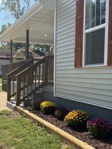 703 N Maple Avenue, Mountain Grove, מיזורי 65711, ארצות הברית של אמריקה