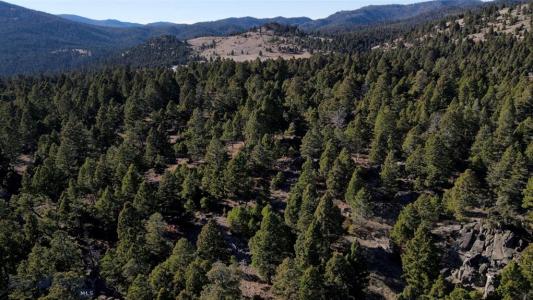 91 Upper Radar Creek Road East Lot, Whitehall, Montana 59759, États-Unis