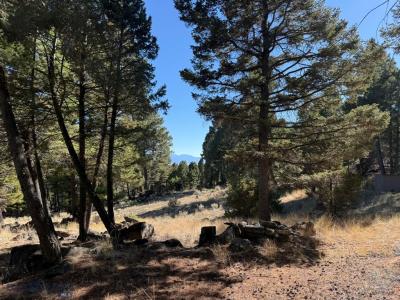 tbd Upper Radar Creek Road West Lot, Whitehall, Montana 59759, États-Unis