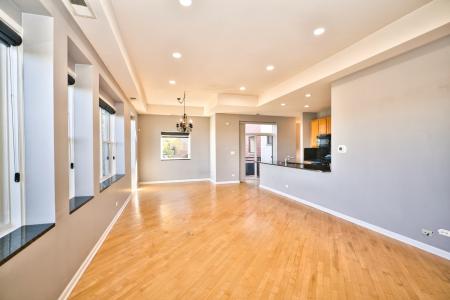 2317 W Wolfram Street , 515, Chicago, Illinois 60618