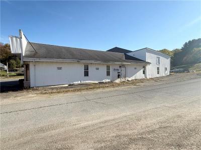 209 Center Street, Conneautville, Pennsylvania 16406