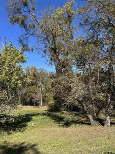 TBD Keith St., Mt Vernon, Texas 75457, Stati Uniti