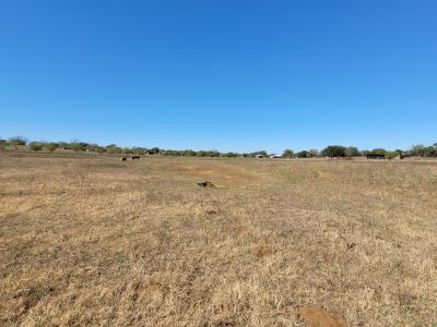 226 FM 1107, Stockdale, 得克萨斯州 78160, 美国