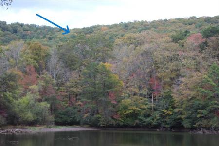 Lot 19 Owl Mountain Road, Ellijay, Géorgie 30540, États-Unis