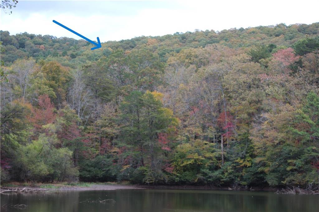 Lot 19 Owl Mountain Road, Ellijay, Géorgie 30540, États-Unis