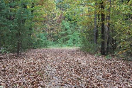 Lot 19 Owl Mountain Road, Ellijay, Géorgie 30540, États-Unis