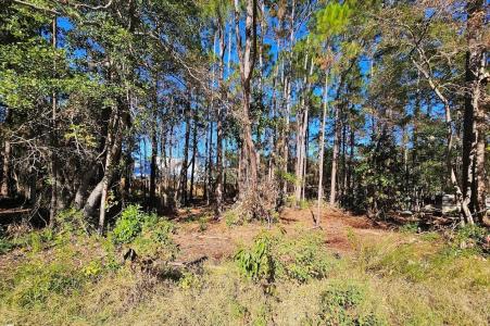 XY Nikki Circle, Santa Rosa Beach, Flórida 32459, Estados Unidos