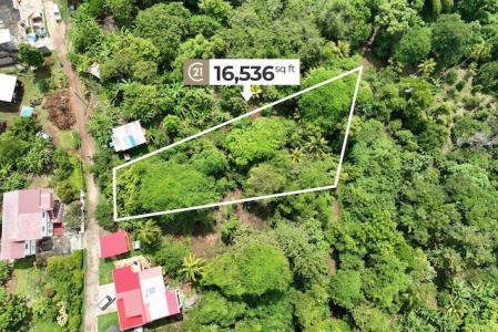 Sapodilla Drive Lot, Sapodilla Drive, Grand Bacolet, St.Andrew West Indies, Grenada