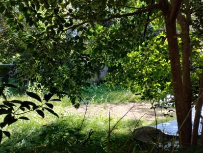 Ecuador 540, Ituzaingó, GBA Oeste 1714, アルゼンチン