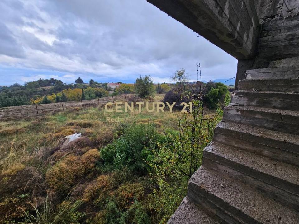 Com. Kapandriti, Rest Of Attica, Greece