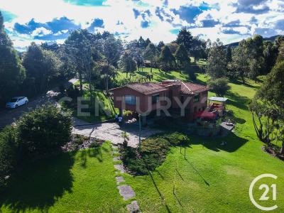 Medellín, 안티오키아 00001, 콜롬비아