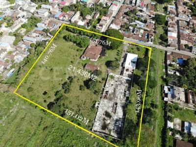 Palmira, Valle del Cauca 00001, Colombia