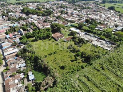 Palmira, ואיה דל קאוקה 00001, קולומביה 