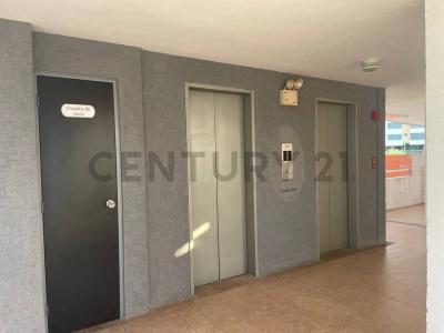 CERRO SUR C.R. AVES DE BORA BORA, Lechería, Anzoategui 6016, 委內瑞拉