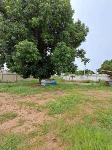 Anaco, Anzoategui 6003, Venzuela