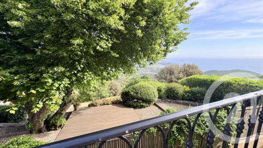 Tomino, Corse 20248, 法国