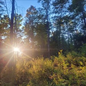 0 Sutton Road, Wheelock, Vermont 05851, USA